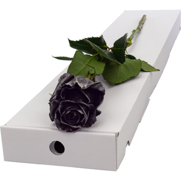 Single Letterbox Black (Painted) Rose