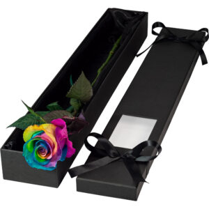 Single Extra Long Luxury Happy Rainbow Rose