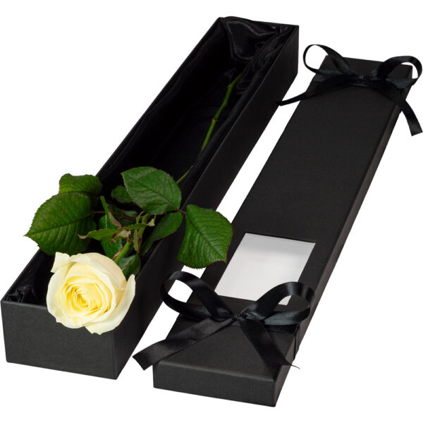 Single Extra Long Luxury White Rose