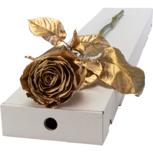 Single Letterbox Gold Rose