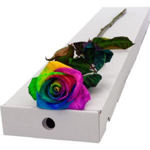 Single Letterbox Happy Rainbow Rose